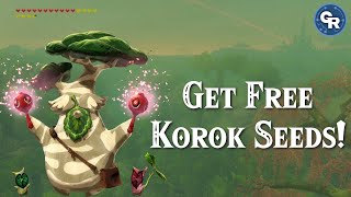 How to EASILY Dupe Korok Seeds Step by Step Guide [upl. by Graces904]