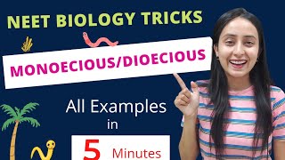 Easiest Trick to Learn Monoecious Hermaphrodites  All NCERT Examples  NEET BIOLOGY [upl. by Yendys836]