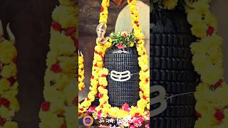 Om Namah Shivay Om Namah Shivay  Namah Shivay Om Namah Shivay Har Har Bhole Namah Shivay [upl. by Noorah245]