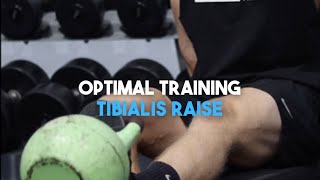 OPTIMAL TRAINING  TIBIALIS RAISE [upl. by Enibas691]