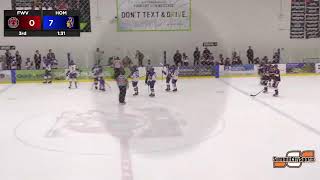 Homestead vs Vipers  Fort Wayne Amateur Hockey  SummitCitySports [upl. by Thorlay]