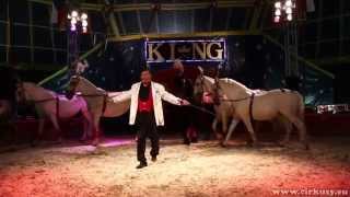 Cirkus Bob Navarro King 2014 [upl. by Aleahc]