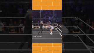 Punishment  Uncle Howdy Vs Brutus Creed  Hell In A Cell Match wwe wwe2k24 gaming [upl. by Anastasie338]