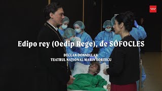 ðŸŽ­ Entrevista Declan Donnellan  Edipo rey Oedip Rege [upl. by Erlandson728]