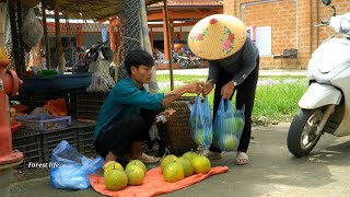 Harvesting Grapefruits to Sell Make Wooden Water Floors  Forest life [upl. by Lubbi]