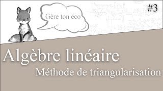 Algèbre linéaire  Méthode de triangularisation dune matrice  Calcul du déterminant 3 [upl. by Panayiotis]