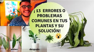 REVIVE PLANTAS ENFERMAS o SECAS  Aplica ESTO para CURAR tu PLANTA  Fertilizante Casero Natural [upl. by Acinehs]