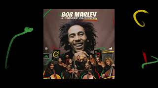 Top Rankin – Bob Marley and The Chineke Orchestra Visualizer [upl. by Acinomed]