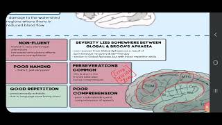 Transcorticol Mixed Aphasia an overview [upl. by Navac]