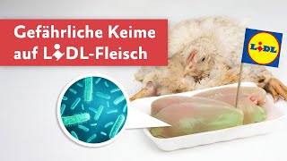 Keime auf LidlFleisch [upl. by Aneekal255]