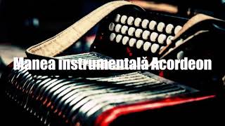 Manea instrumentală acordeon [upl. by Adey]