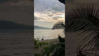 Chidiya Tapu’s Stunning Coastline  Beaches of Port Blair  Andaman Tourism youtubeshorts travel [upl. by Mogerly145]