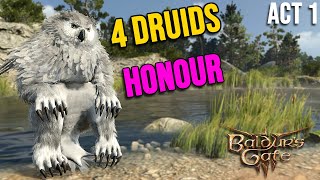 4 Druids VS Honour Mode Act 1  BG3 [upl. by Derriey714]