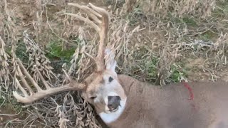 2023 Opening day of KY rifle Big Buck Down Kentucky Deer Hunting [upl. by Melmon]