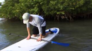 Stand Up Paddling  Getting Started [upl. by Hildie]