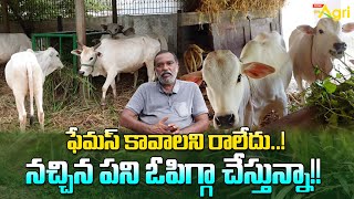 Punganur Cow Breed Farming  ఫేమస్ కావాలని రాలేదు నచ్చిన పని ఓపిగ్గా చేస్తున్నా Tone Agri [upl. by Htebazila]