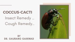 Coccus Cacti Insect Remedy Cough Remedy by Dr Gaurang Gaikwad [upl. by Aicetal]