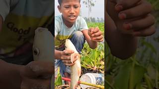 Hook Fishing fish fishing [upl. by Stockwell]