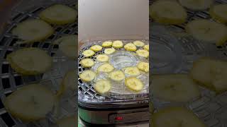 OSTBA Food Dehydrator Machine [upl. by Dhiman272]