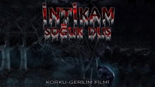 intikam Soğuk Duş Türk Filmi  FULL  Korku Gerilim Filmi [upl. by Hsotnas399]