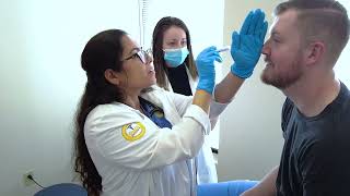 What Does A Physician Assistant Do  Physician Assistant  South University [upl. by Gorey]