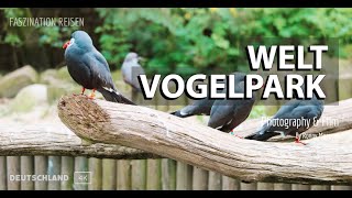 Weltvogelpark Walsrode Ein Paradies für Vogelfans [upl. by Mclaughlin]