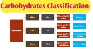 Carbohydrates Classification Clinical significance of different carbohydrates [upl. by Vera952]