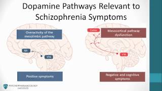 Psychopharmacology Antipsychotics amp The Dopamine Hypothesis [upl. by Leacim]