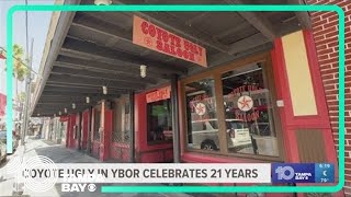 Coyote Ugly Saloon celebrates 21 years in Ybor City [upl. by Nongim39]