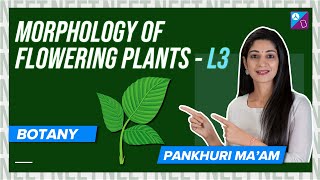 Leaf Structure amp Modifications  Morphology of Flowering Plants Class 11 Biology Concept  NEET 2024 [upl. by Evangelia531]