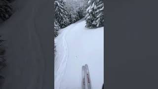 Idiots Delight into North Slope  Mittersill Ski Resort  Franconia NH [upl. by Schlessinger]