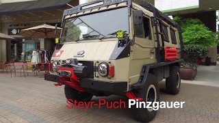 SteyrPuch Pinzgauer  Walkaround [upl. by Levitus555]