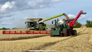 Claas Lexion 8900 With Vario 1380 Harvesting Barley Accompanied By Cestari 20500 Auger Wagon 4K [upl. by Kellyn]