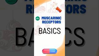 Muscarinic Receptors Basic Function [upl. by Beverle]