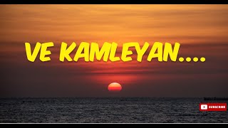 Ve Kamleya  SlowedReverb  Ranveer amp Alia Song  By MusicHits2545 [upl. by Hepza787]