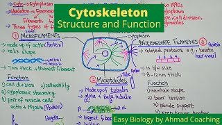 Cytoskeleton Structure and Function  Role in Motility [upl. by Noble532]