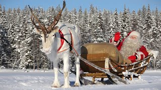 Reindeer Ride of Santa Claus 🦌🎅 Christmas departure from Lapland Finland  Santas message for kids [upl. by Camile]