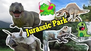 Dinosaur Jurassic Park Amusement Fun Outdoor Kids Playground paleontology archaeological Dino Eggs [upl. by Pardoes]