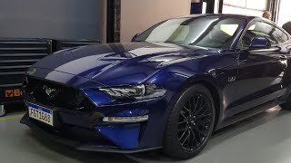 Mustang 2019 Escape Esportivo Nova Racing [upl. by Ruyam]