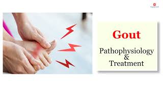 Gout  Definition pathophysiology and Treatment options [upl. by Mahmud657]