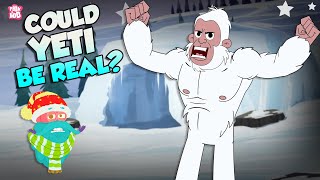 Could Yeti Be Real  The Abominable Snowman  Unveiling the Mystery of Bigfoot  Dr Binocs Show [upl. by Agee]