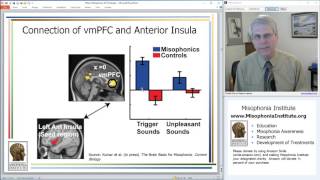 What is Misophonia 2017 Misophonia Association Conference [upl. by Haughay]