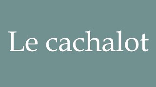 How to Pronounce Le cachalot The sperm whale Correctly in French [upl. by Kazimir]