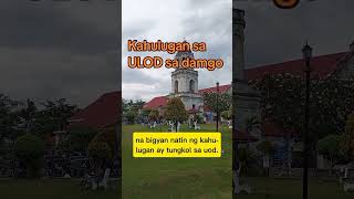 Kahulugan sa ulod sa damgo ulod kahulugansaulodsadamgo nagdamgougulod uod nanaginipngoud [upl. by Auohc]