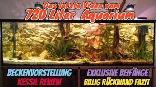 Das letzte Video vom 720 Liter Amazonas Aquarium Beckenvorstellung  Fazit BilligRückwand [upl. by Ahsenyl]