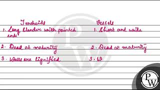 Tracheids differ from other tracheary elements in [upl. by Allisan530]