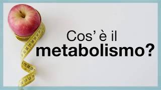 Cosè il metabolismo [upl. by Enitsed612]