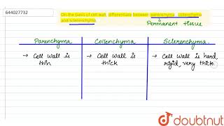 On the basis of cell wall differentiate between parenchyma  collenchyma and sclerenchyma  9 [upl. by Nnaharas389]