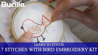 Learn 7 Embroidery Stitches with Bucilla Learn to Stitch Kit [upl. by Dronel]