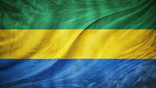 Flag of Gabon  Drapeau du Gabon  Téléchargez gratuitement ou achetez en bonne qualité Fond [upl. by Quenna220]